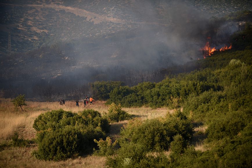 Πυροσβεστική: 42 αγροτοδασικές πυρκαγιές το τελευταίο 24ωρο σε όλη τη χώρα